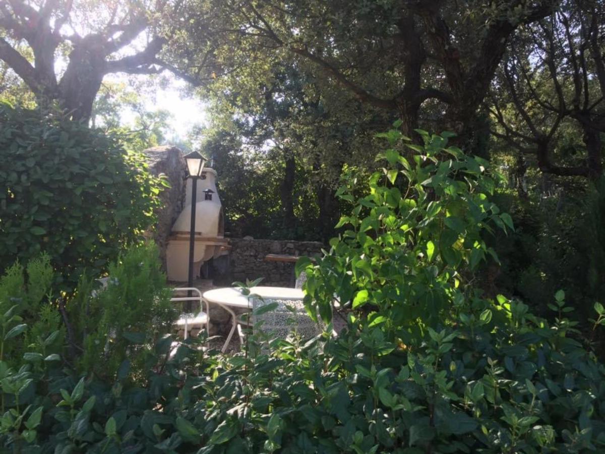 Crazy Foxy Retreats Bed & Breakfast Fox-Amphoux Luaran gambar